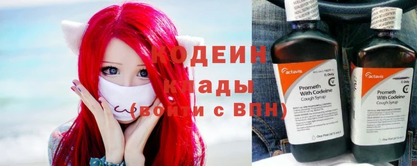 кокс Алексин
