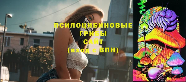 кокс Алексин