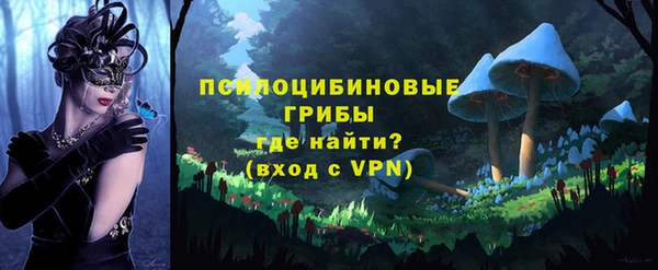 тгк Абдулино