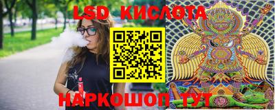 гидра Татарск